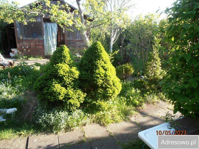 Działka rod Łódź Retkinia, ul. Franciszka Plocka. Zdjęcie 3