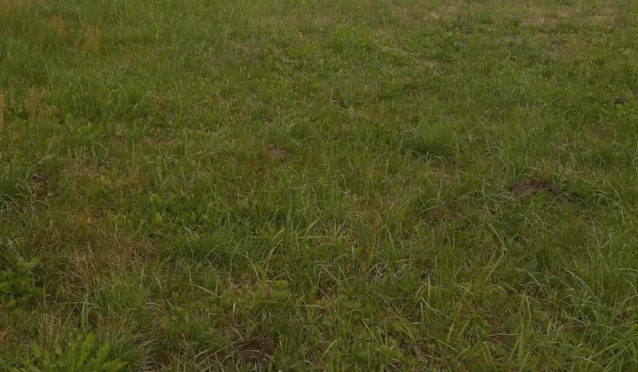 Działka rolno-budowlana Lgota Wielka, ul. Radomszczańska