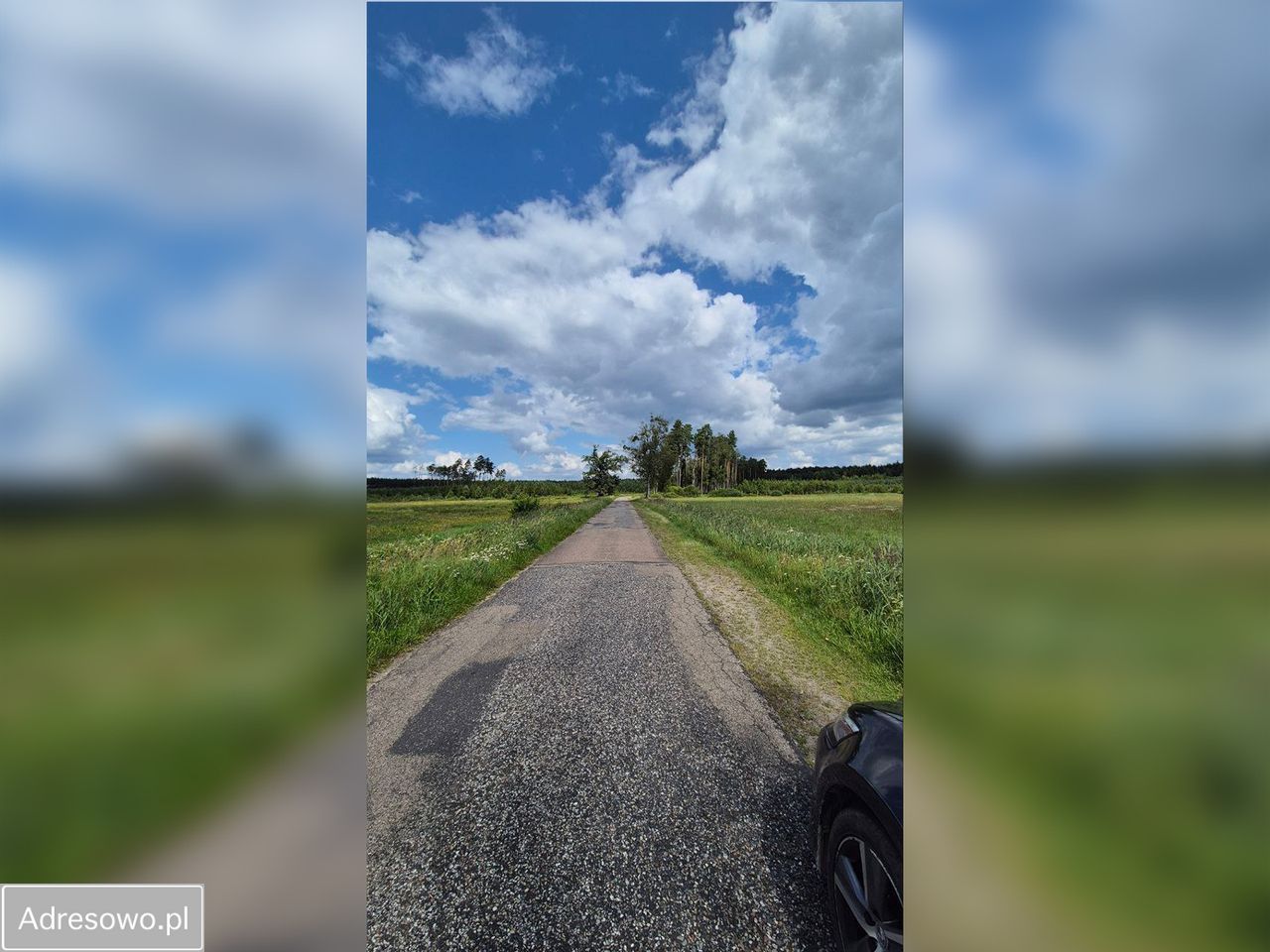 Działka inwestycyjna Czarne. Zdjęcie 8