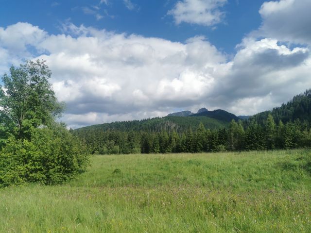 Działka rolna Kościelisko. Zdjęcie 1