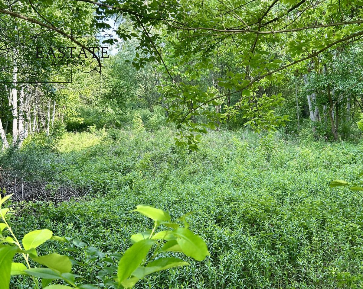 Działka budowlana Góra Kalwaria Marianki, ul. Walewicka. Zdjęcie 5
