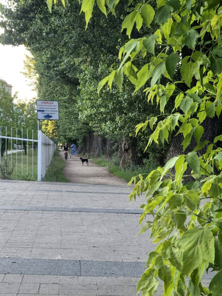 Mieszkanie 2-pokojowe Warszawa Targówek, ul. Zielone Zacisze. Zdjęcie 10