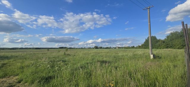 Działka inwestycyjna Biskupnica. Zdjęcie 9