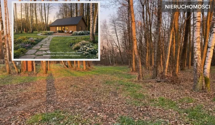 Działka budowlana Żuków