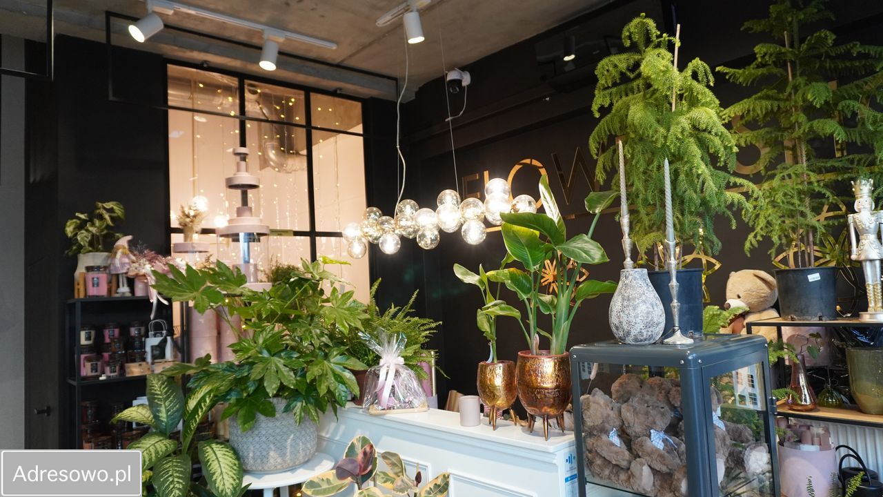 Lokal Toruń Koniuchy, ul. Żwirki i Wigury. Zdjęcie 5