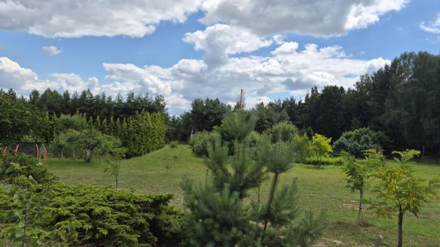 dom wolnostojący, 8 pokoi Bukowina Sycowska. Zdjęcie 6