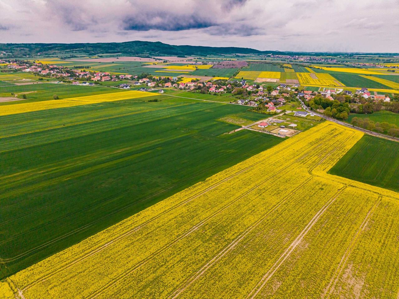 Działka rolno-budowlana Piotrowice. Zdjęcie 3