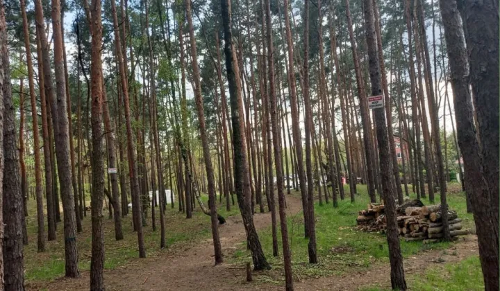 Działka leśna Warszawa Białołęka