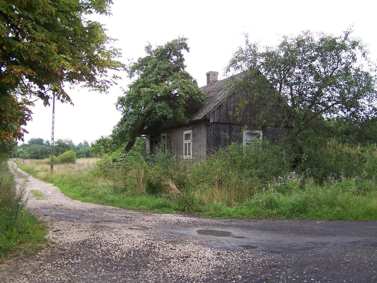 Działka rolno-budowlana Ninków. Zdjęcie 5