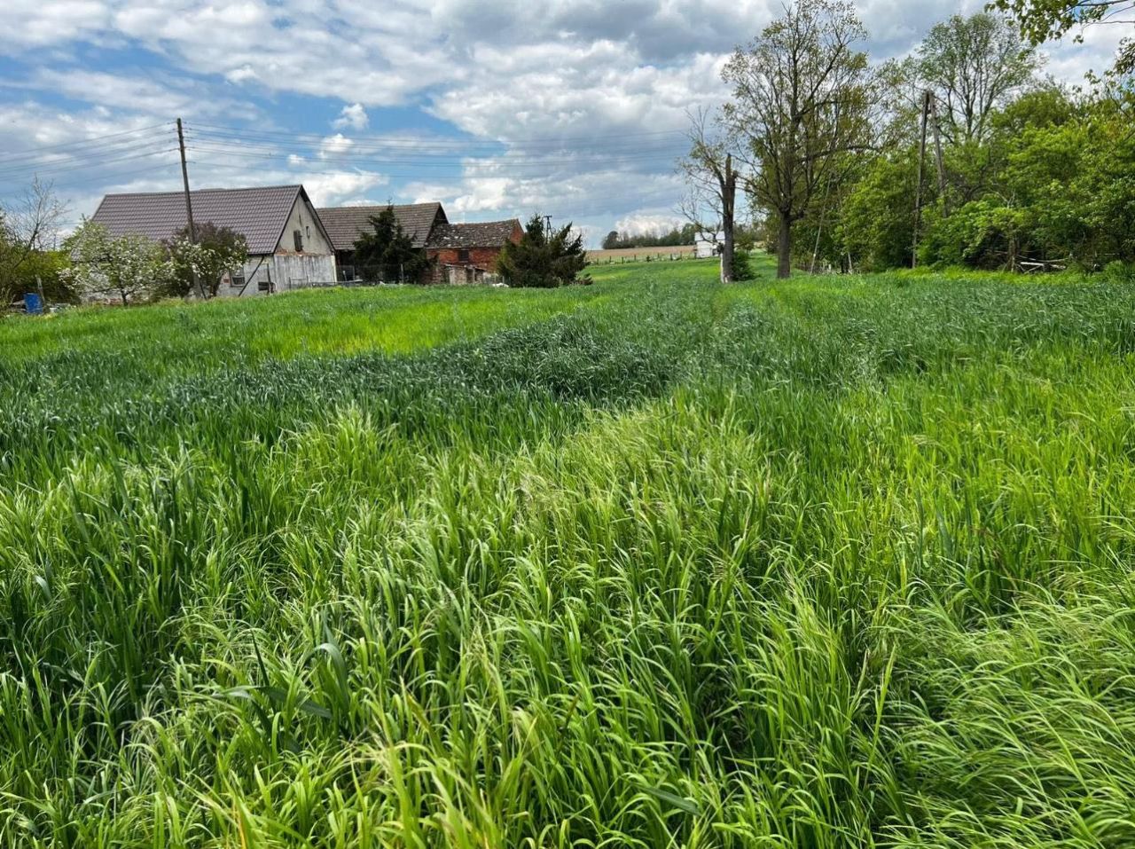 Działka budowlana Goszków. Zdjęcie 3