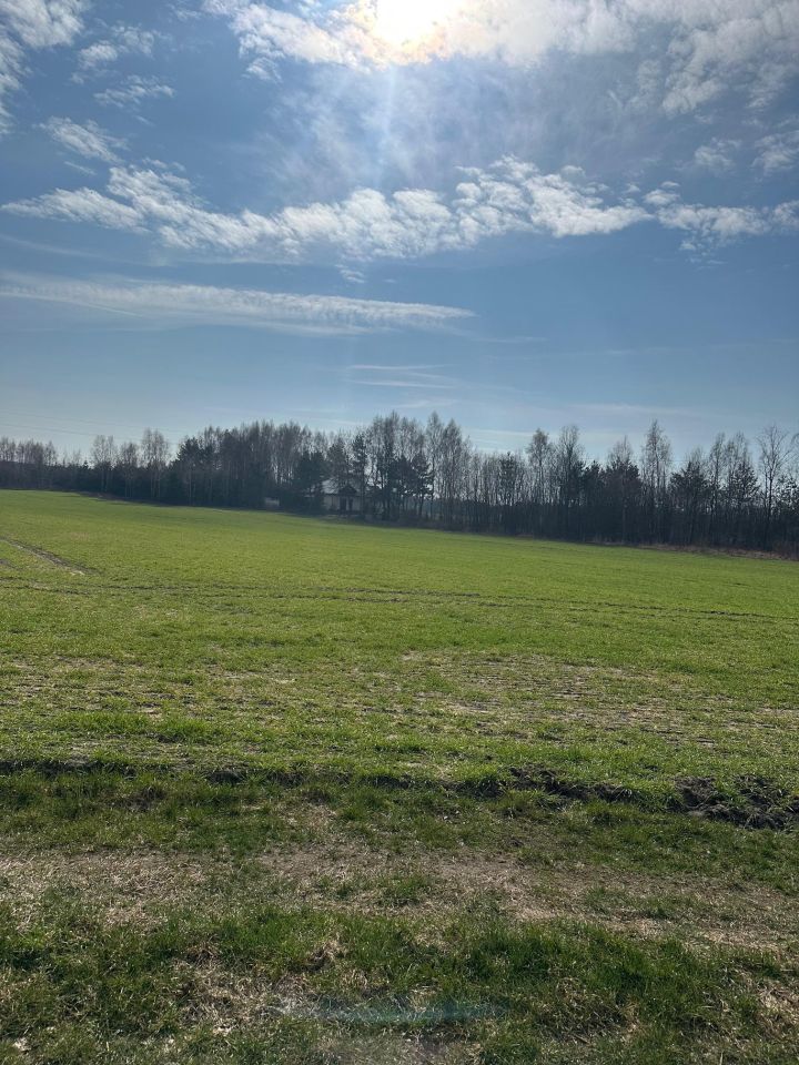 Działka budowlana Bądzyń, Ksiedza Brzoski. Zdjęcie 4