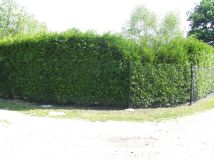 Działka rod Skawina, ULPODGORKI 22. Zdjęcie 4