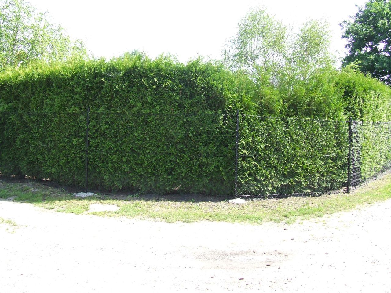 Działka rod Skawina, ULPODGORKI 22. Zdjęcie 5