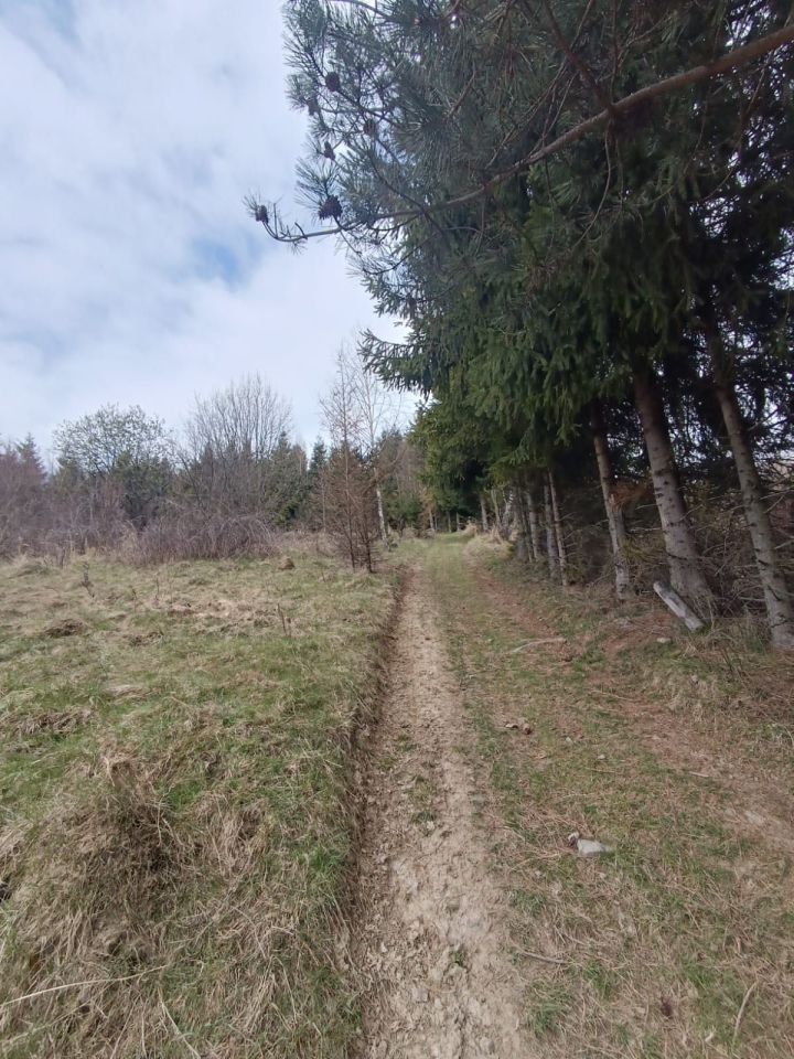 Działka budowlana Mutne. Zdjęcie 6