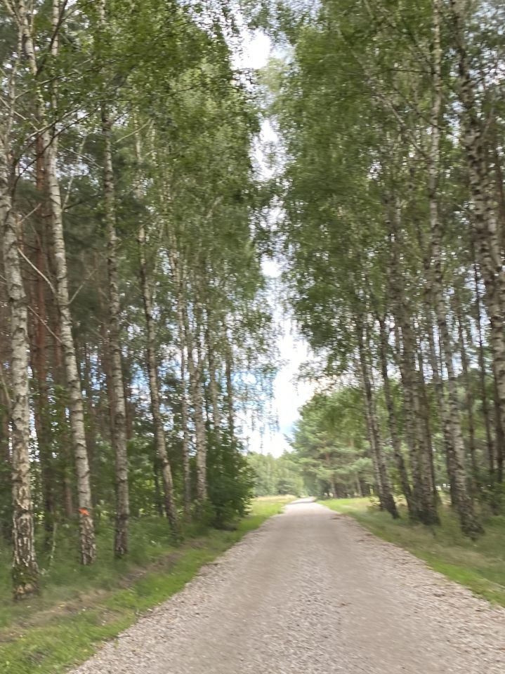 Działka budowlana Tomaszew. Zdjęcie 5