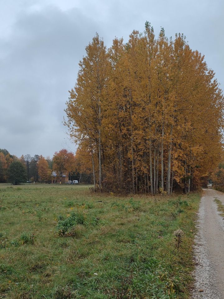 Działka budowlana Bolesławek, ul. Nad Potokiem. Zdjęcie 9