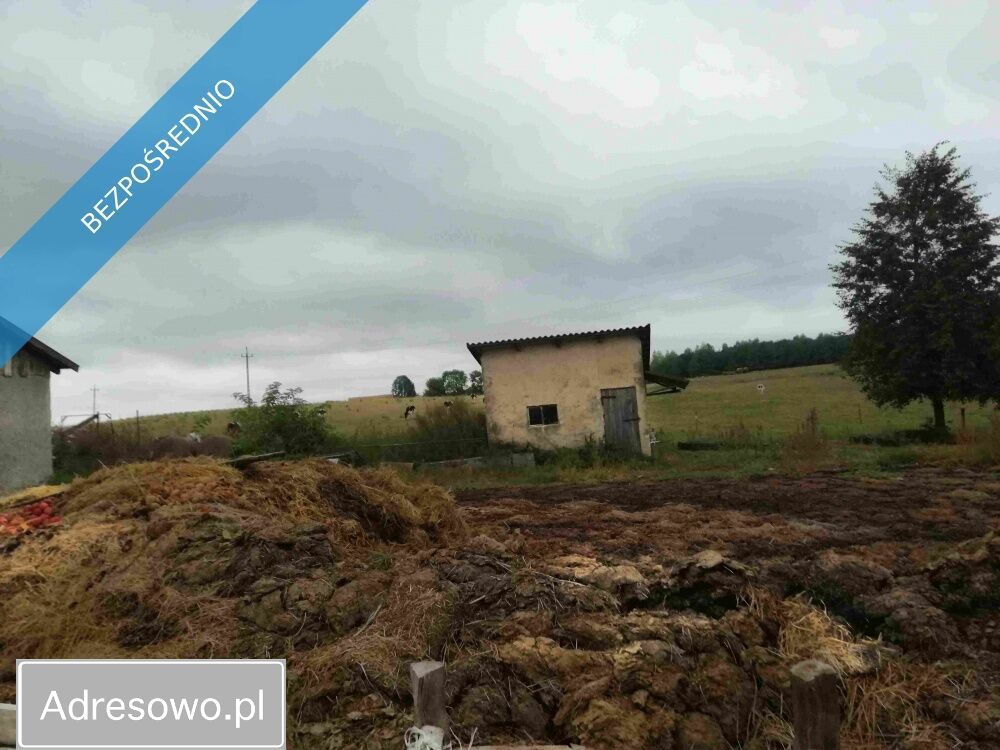 siedlisko Gawliki Wielkie. Zdjęcie 11