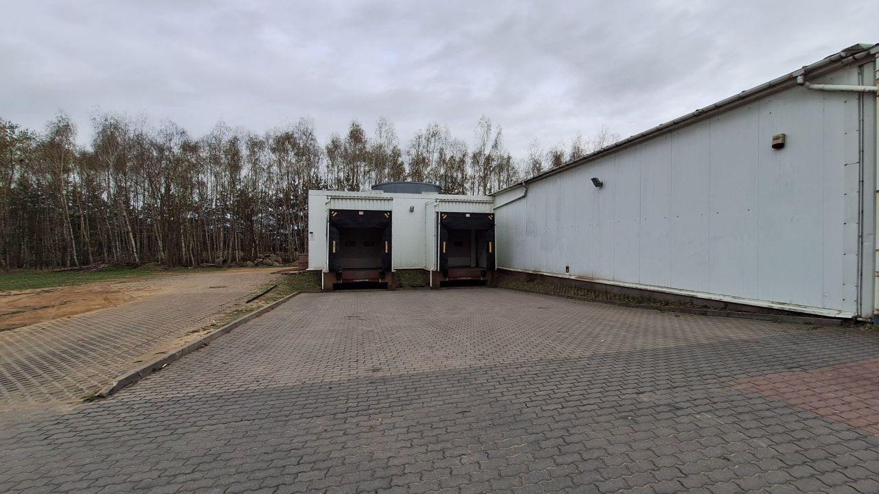 Hala/magazyn Święcice, ul. Poznańska
