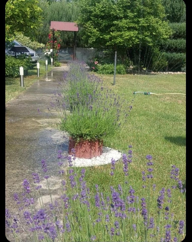 Działka rod Kulów, Kulów. Zdjęcie 16