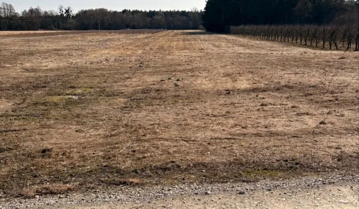 Działka rolno-budowlana Chruślanki Mazanowskie