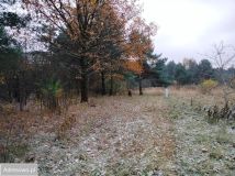 Działka rolno-budowlana Dąbrowa Górnicza Ząbkowice, ul. Związku Orła Białego. Zdjęcie 4