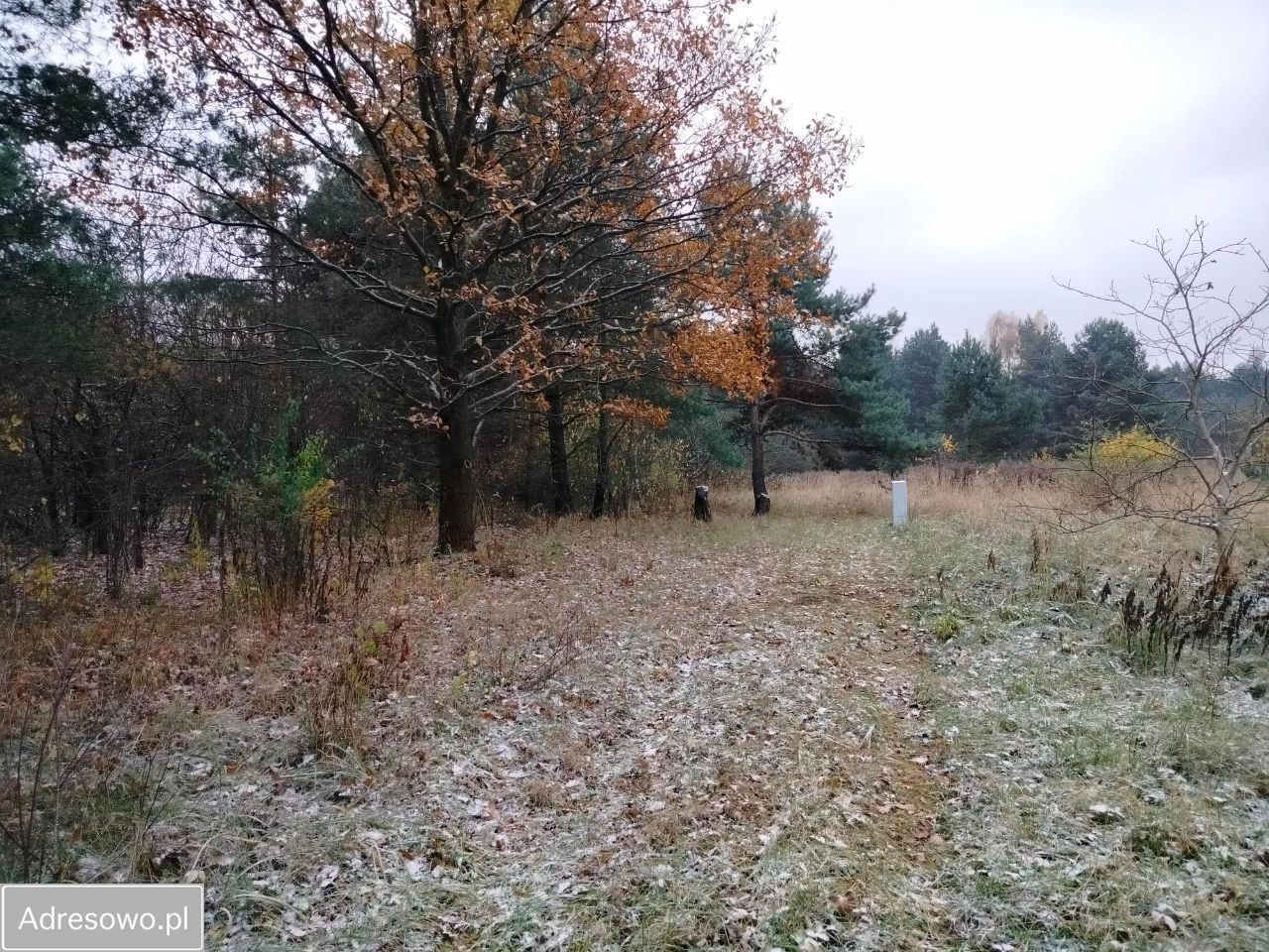 Działka rolno-budowlana Dąbrowa Górnicza Ząbkowice, ul. Związku Orła Białego. Zdjęcie 5