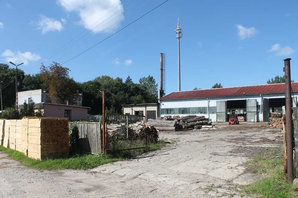 Hala/magazyn Dobino. Zdjęcie 4