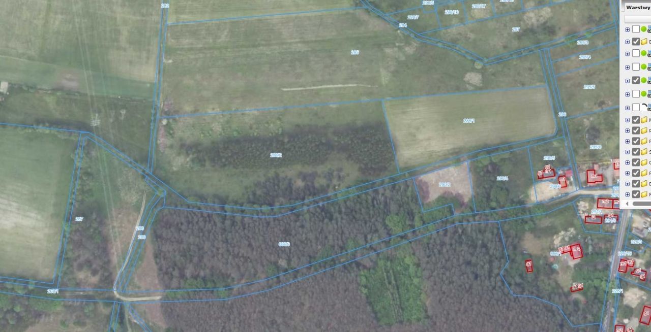Działka rolna Leśniów Wielki. Zdjęcie 2
