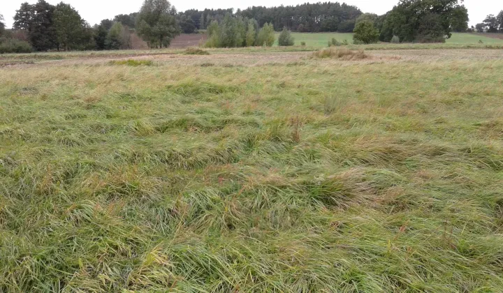 Działka rolna Strzebielino