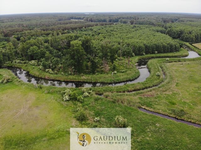 Działka Karszyn. Zdjęcie 6