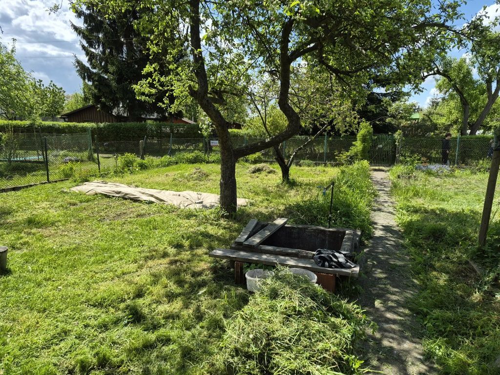 Działka rod Szczecin Niebuszewo. Zdjęcie 1