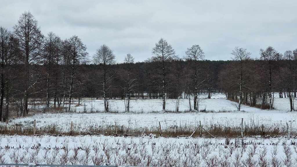 Działka Pąchy. Zdjęcie 7
