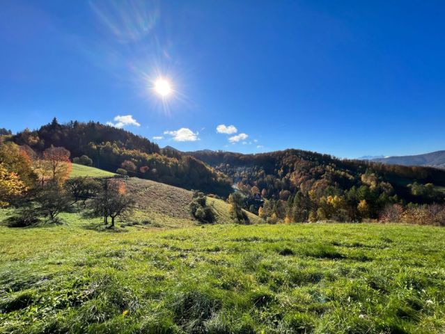 Działka budowlana Zarzecze. Zdjęcie 1