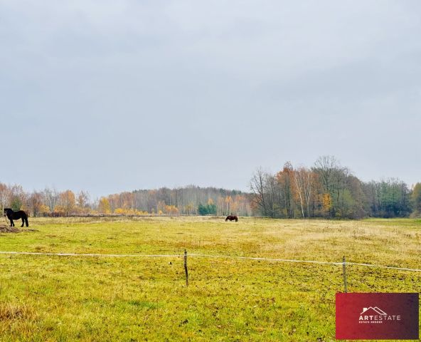 Działka rekreacyjna Nowy Adamów. Zdjęcie 6