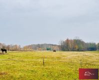 Działka rekreacyjna Nowy Adamów. Zdjęcie 4