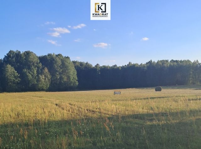 Działka budowlana Chmielew. Zdjęcie 8
