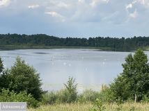 Działka rolna Likszany. Zdjęcie 4