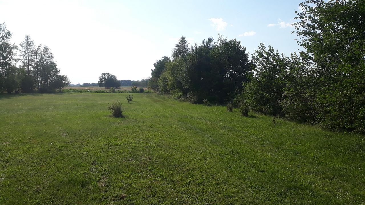 Działka siedliskowa Tarkowo Dolne. Zdjęcie 6