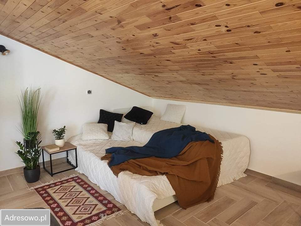 Lokal Majdan Sopocki Drugi. Zdjęcie 13