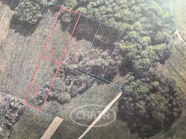 Działka rolna Huta Wielka. Zdjęcie 4