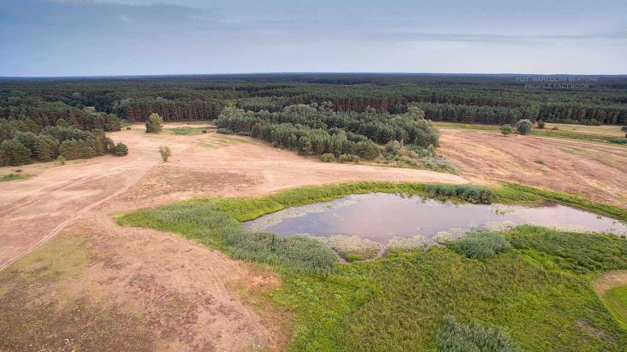 Działka rolna Mosina. Zdjęcie 3