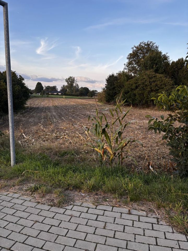 Działka budowlana Białobrzegi. Zdjęcie 2