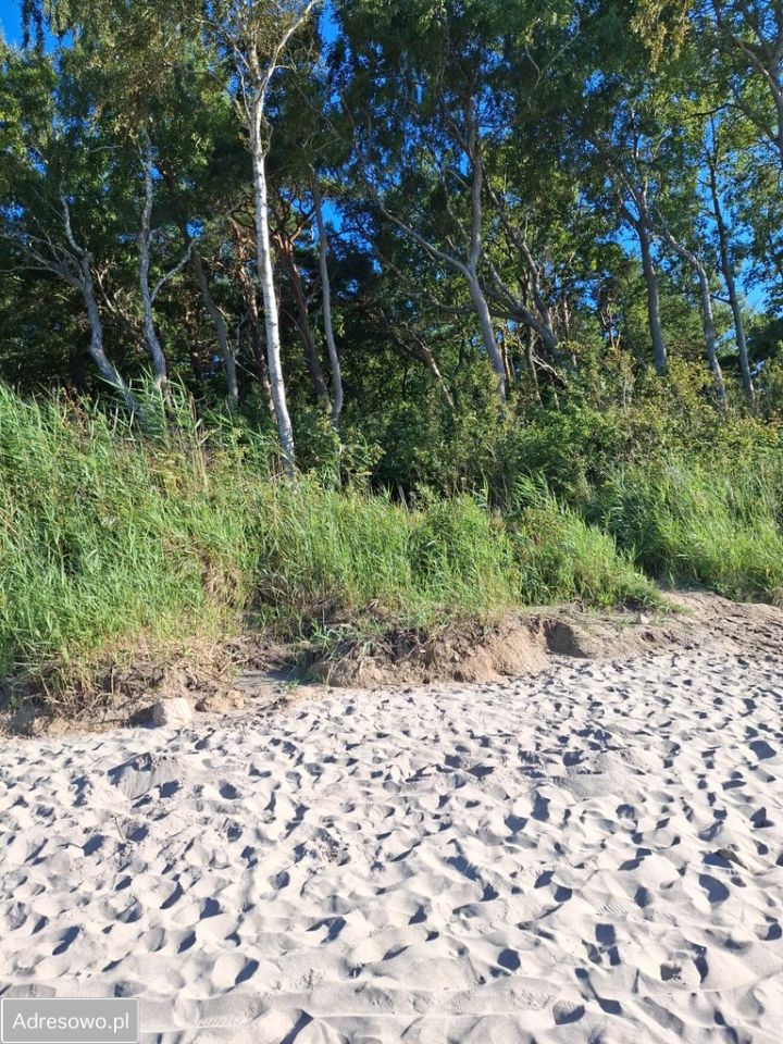 Działka rolna Pleśna. Zdjęcie 4