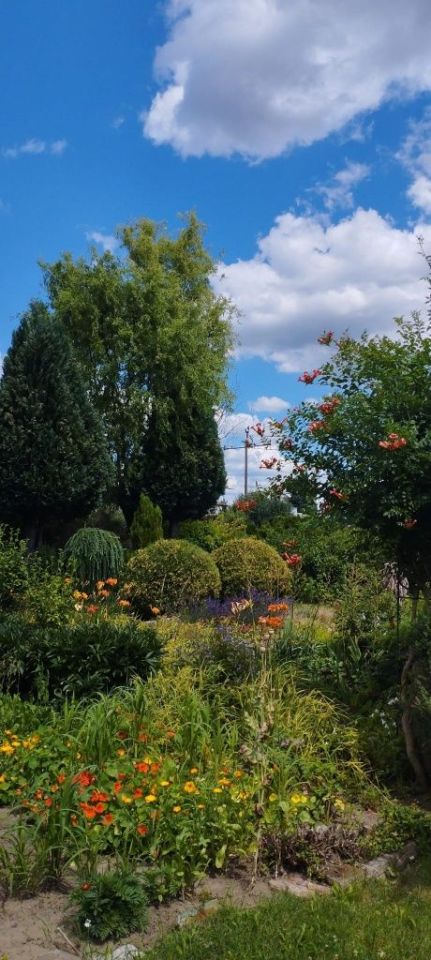 Działka rod Mielec. Zdjęcie 6