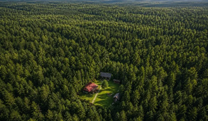 Działka siedliskowa Janów Lubelski