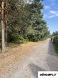 Działka rekreacyjna Kostkowice. Zdjęcie 3