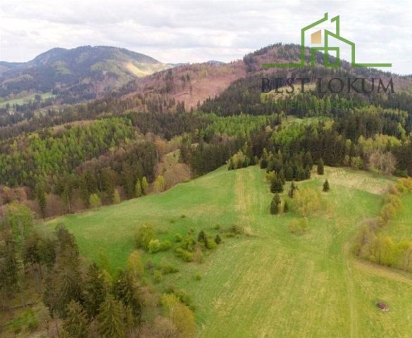 dom wolnostojący, 4 pokoje Kowalowa. Zdjęcie 14