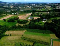 Działka siedliskowa Sadek. Zdjęcie 3