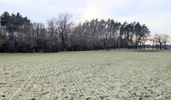 Działka budowlana Potrzanowo, ul. Skocka