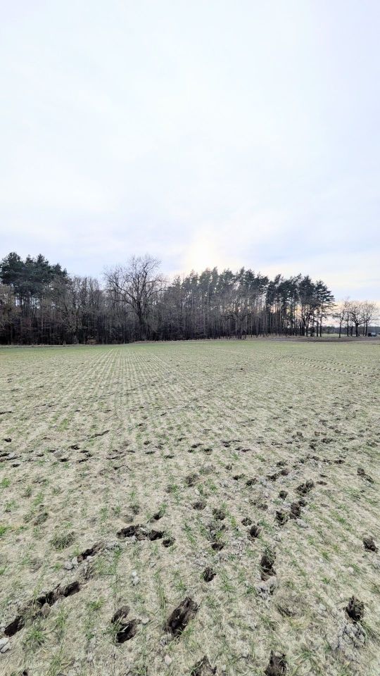 Działka budowlana Potrzanowo, ul. Skocka. Zdjęcie 1